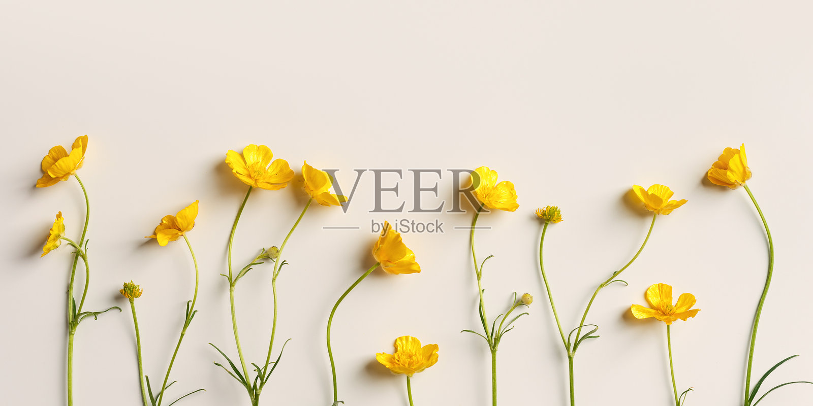 花瑞华鲜花